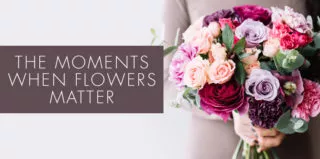 flowers matter flower moment