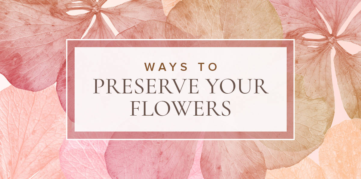 Learn the Art of Drying Flowers