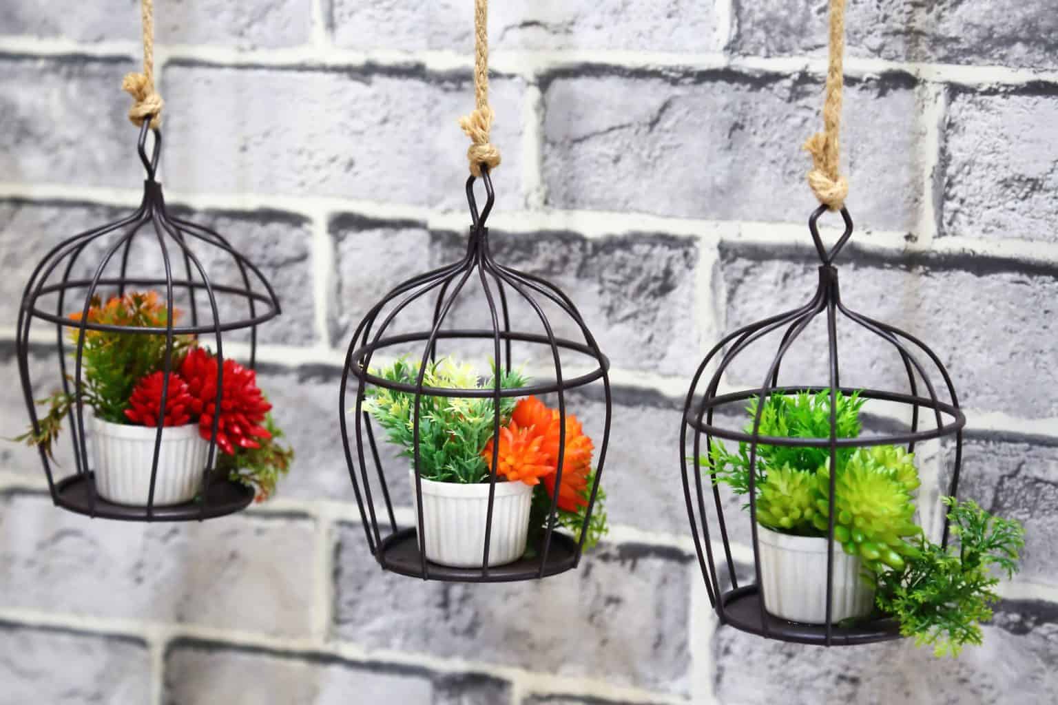 Vibrant and Amazing Hanging Baskets for Inside