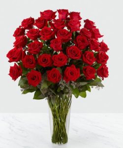36 Beautiful Equadorian red roses arranged in a glass vase with assorted greenery & filler